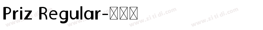 Priz Regular字体转换